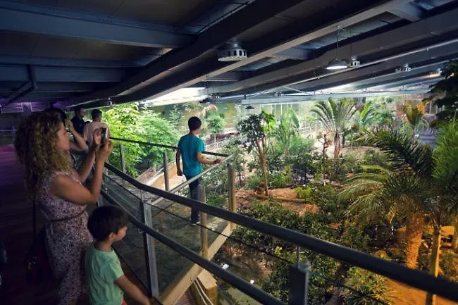 Todosierranevada Zona Baja - Edificio Alhambra - Junto A Telecabinas Sierra Nevada